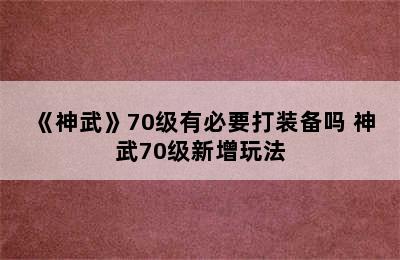 《神武》70级有必要打装备吗 神武70级新增玩法